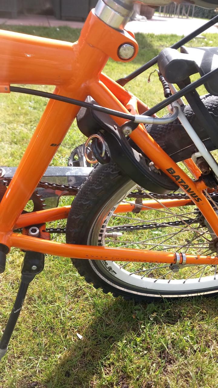 Batavus Snake 22 inch