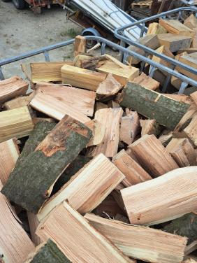 Eilen beuken acasia haardhout