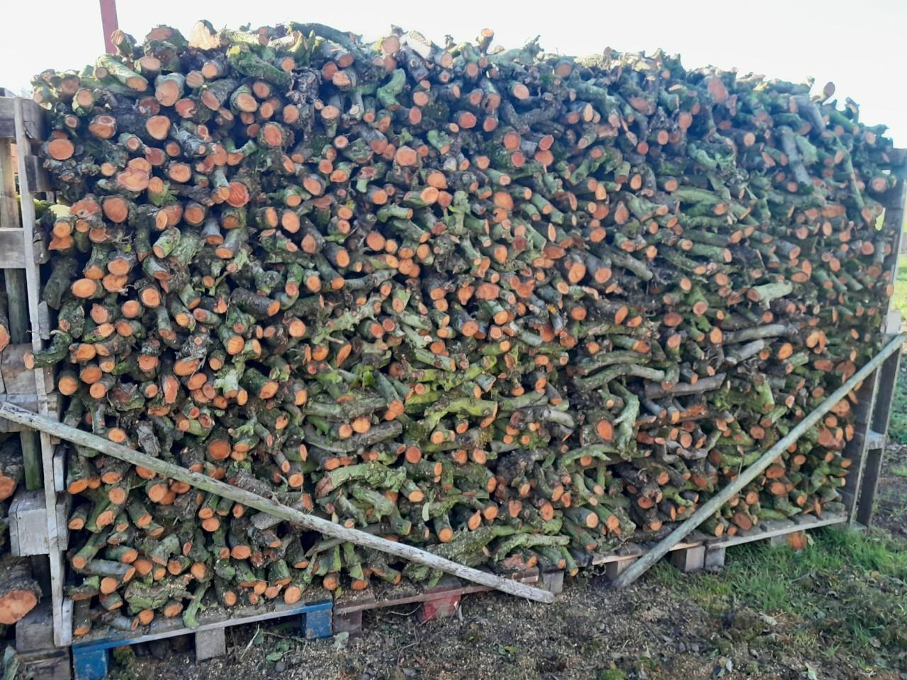 Diverse soorten haardhout.