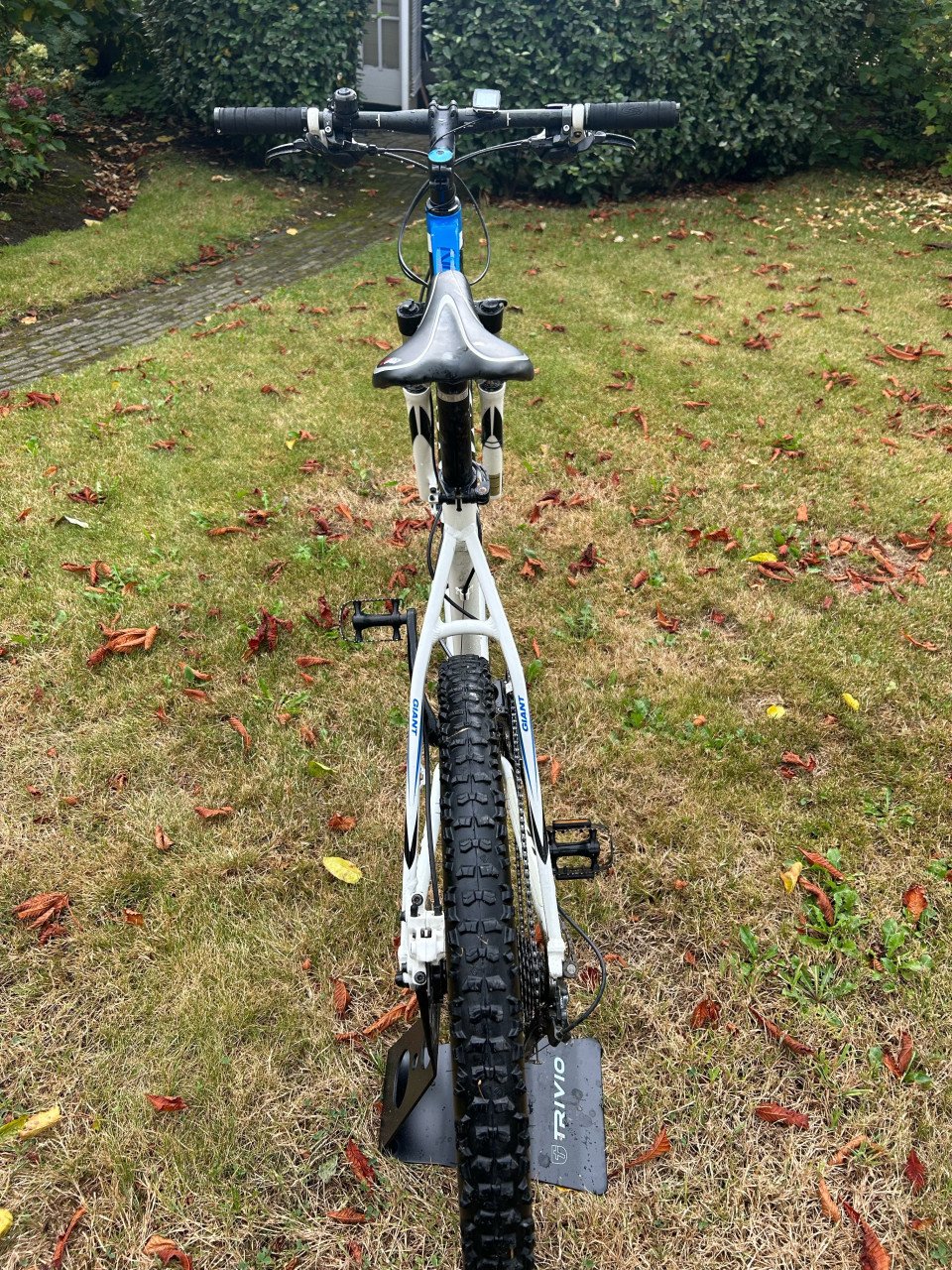 Giant Talon Mountainbike