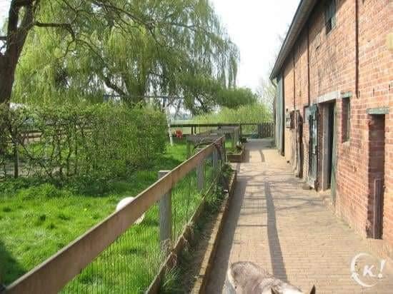 Paardenbox met weidegang beschikbaar