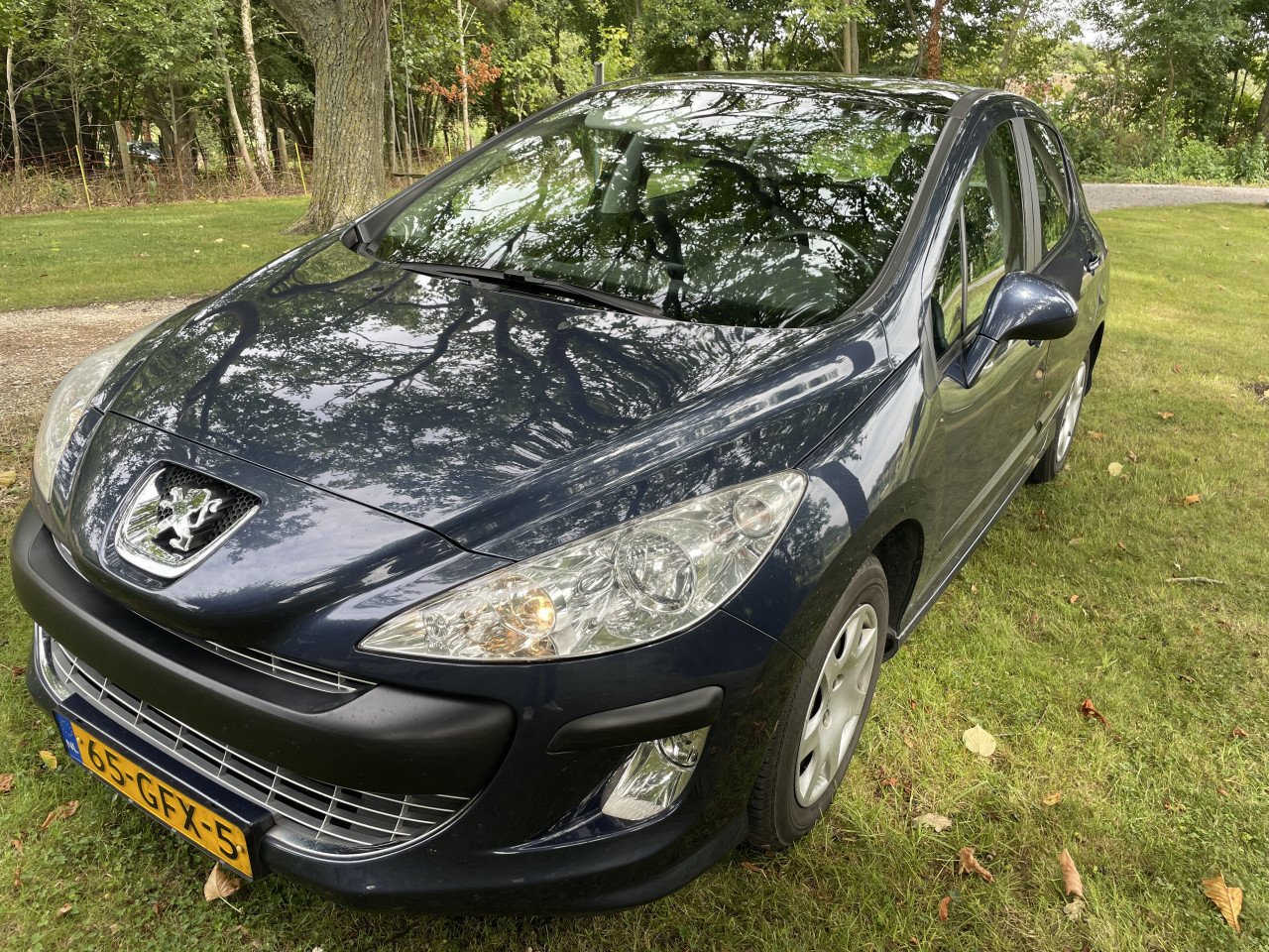 Peugeot 308 1.6 Vti Xs