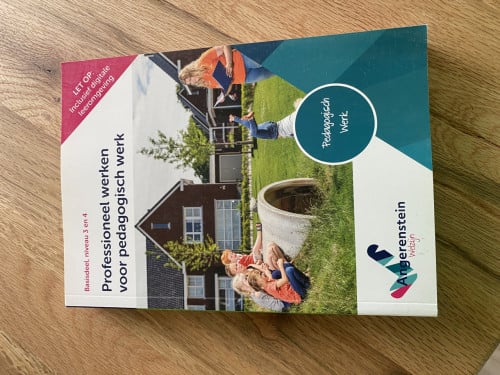 Professioneel werken voor pedagogisch werk