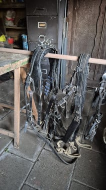 Shetland pony tuig | Liverpool bit