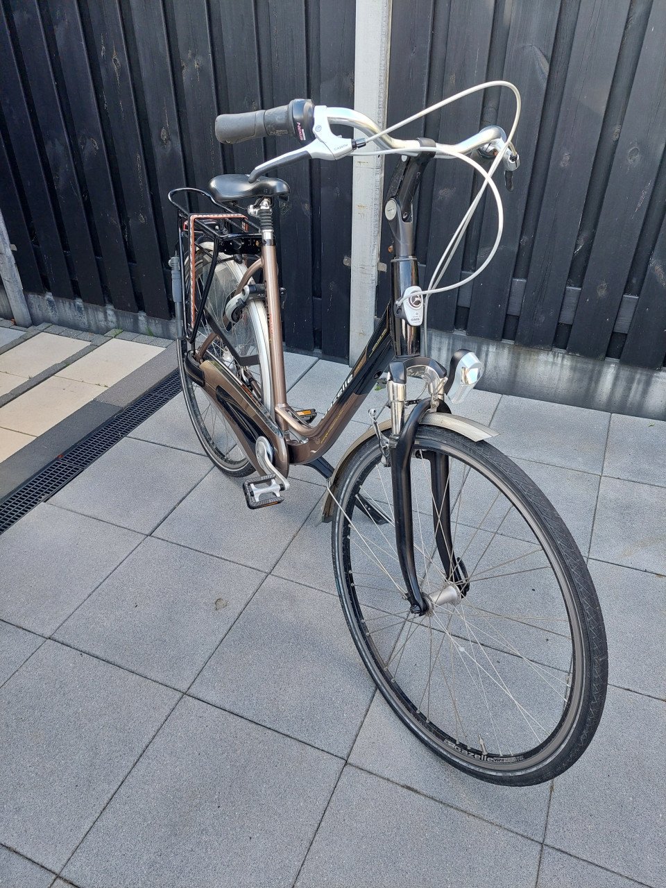 Gazelle Orange