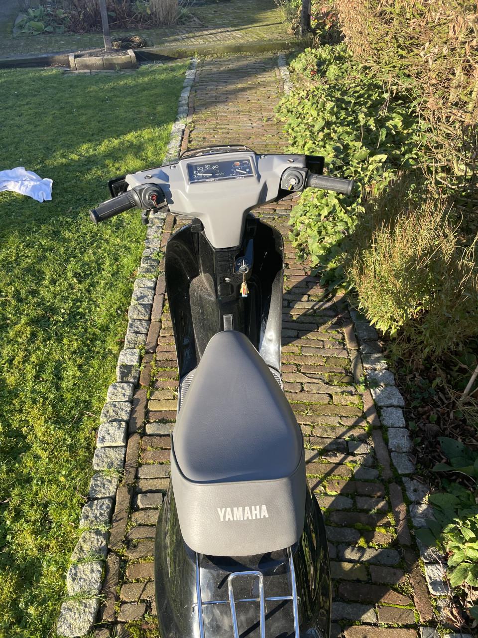 Yamaha mint