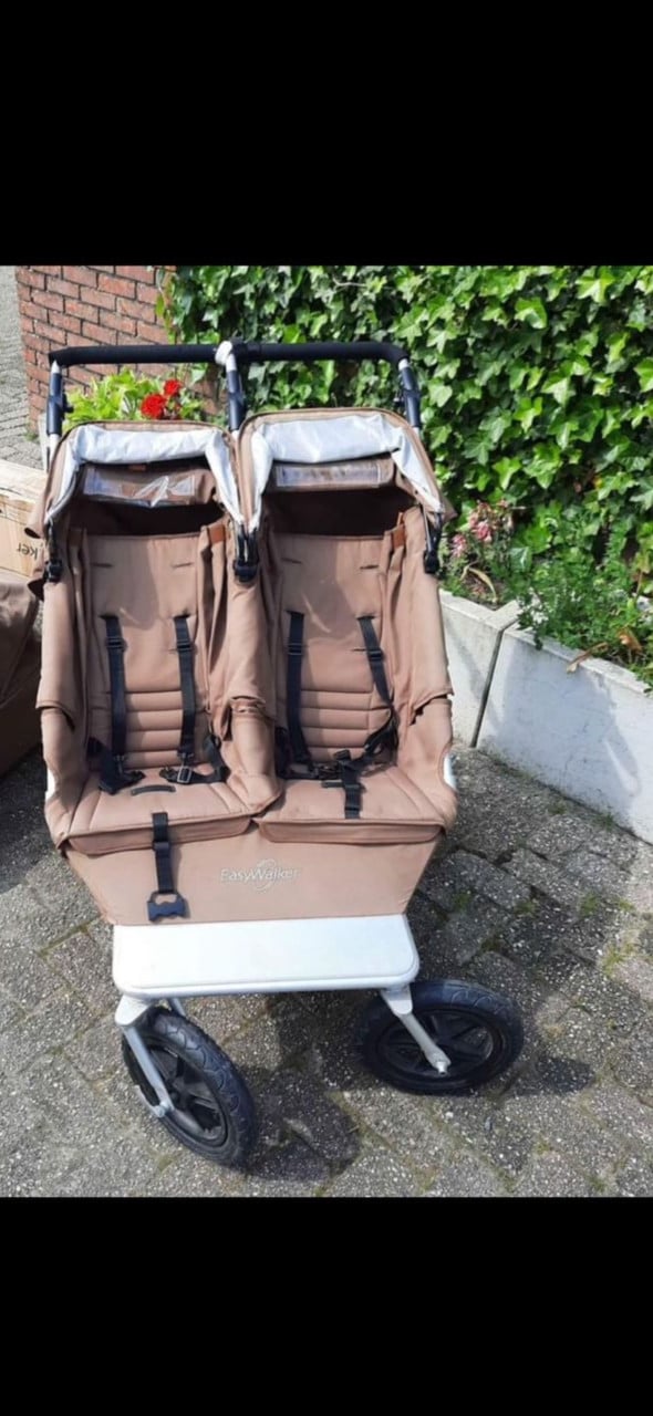 Duo buggy easywalker