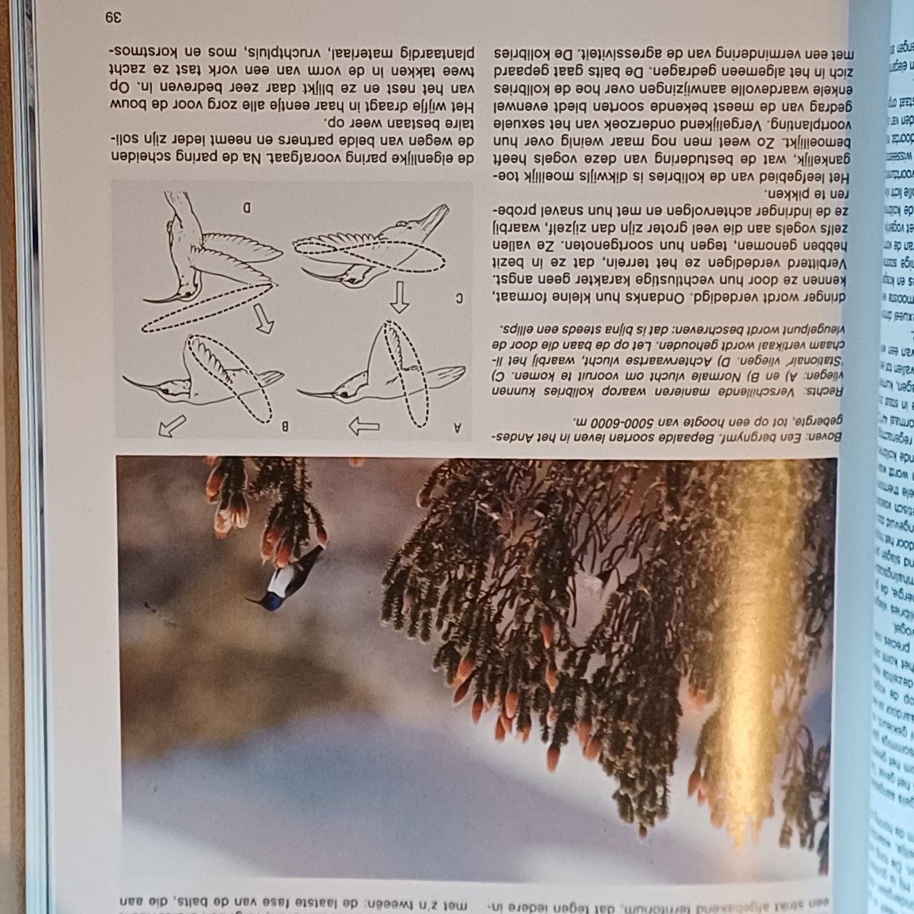 Encyclopedie de dierenwereld