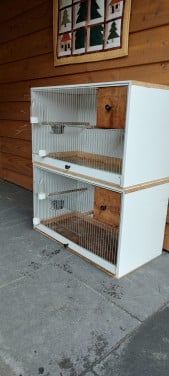 Broedkooi (2x)