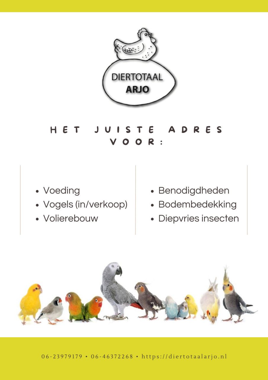 Gezocht allerlei vogels................