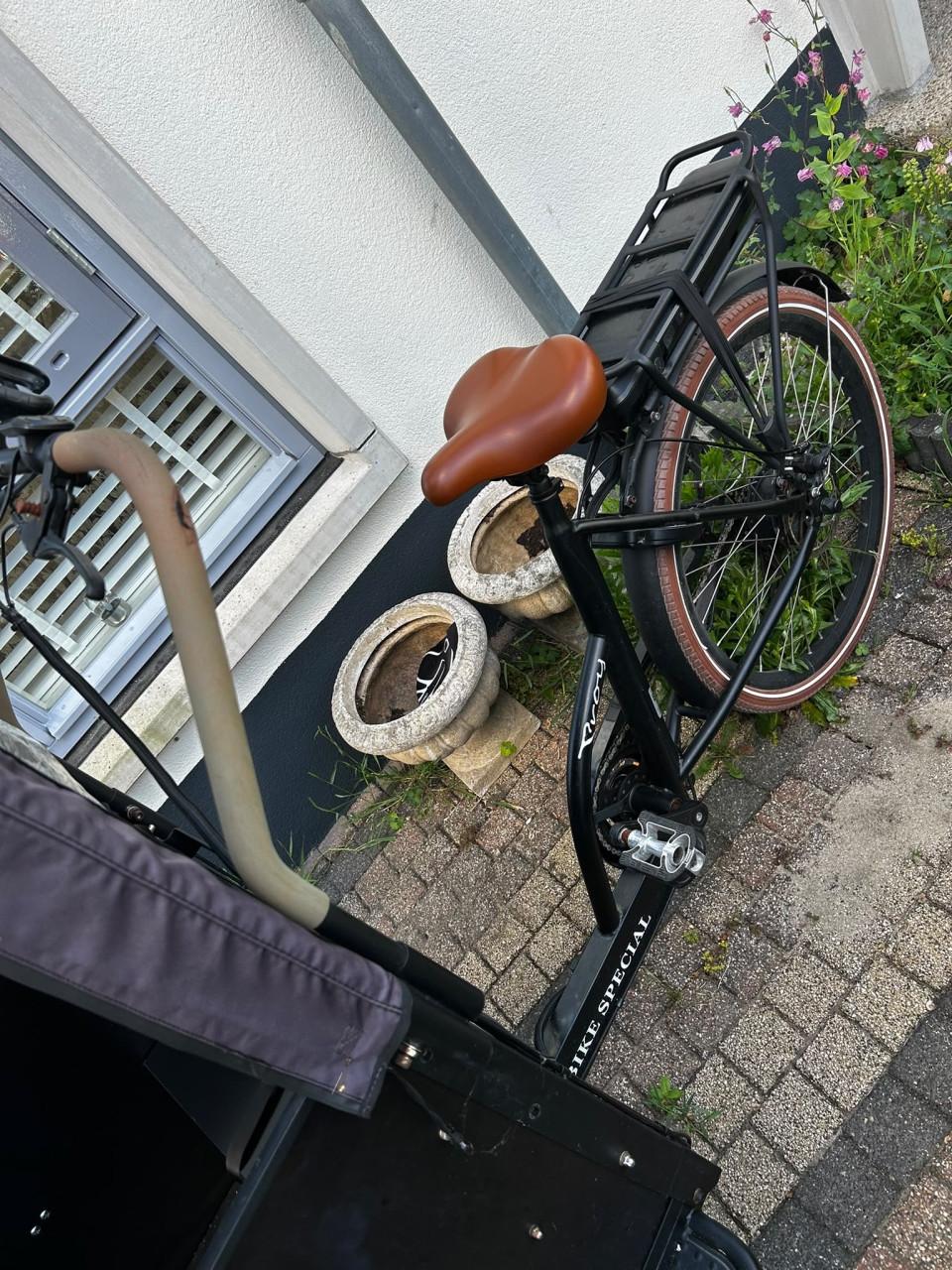 Troy elektrische bakfiets , perfect voor 4 kinederen