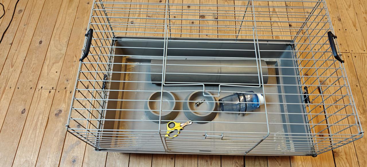 Te Koop Cavia kooi en rek voor buiten