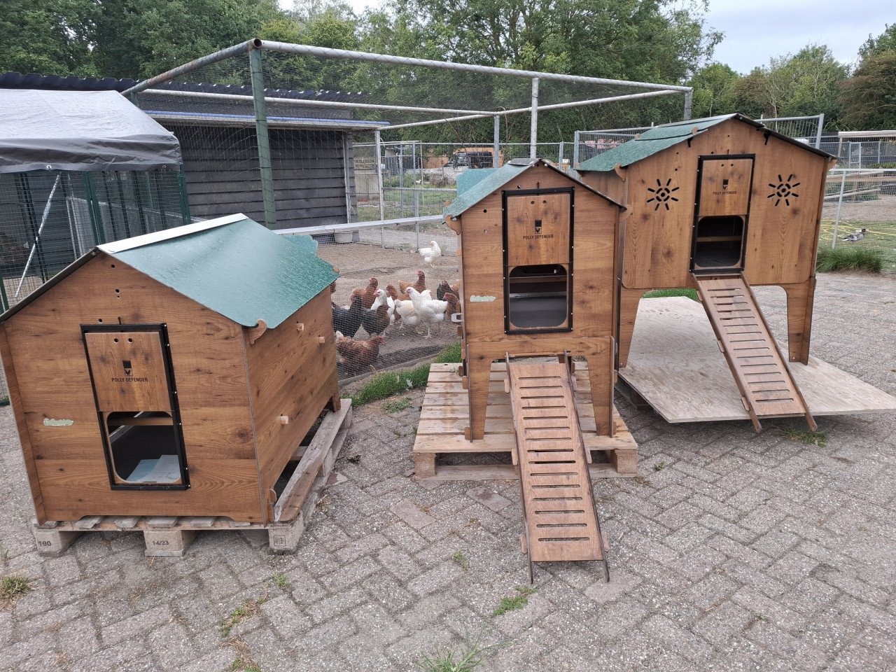 OPRUIMING!! kippenhokken/ren deze week 20% KORTING!