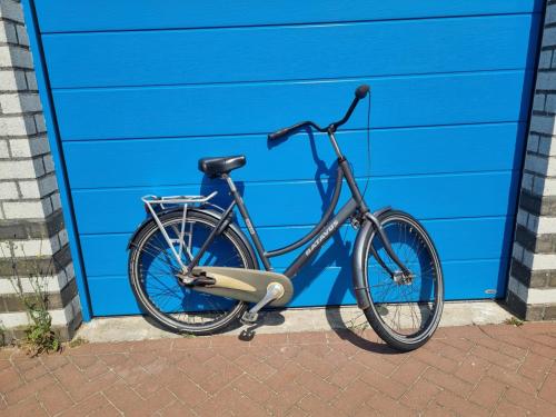 2 x Omafiets BATAVUS- Diva & Old Dutch & Miss Grace