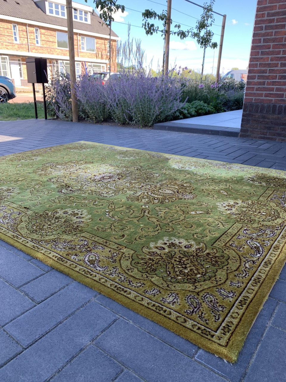 ✨Super Leuk Groen Vintage Vloerkleed Zuiver Scheerwol✨