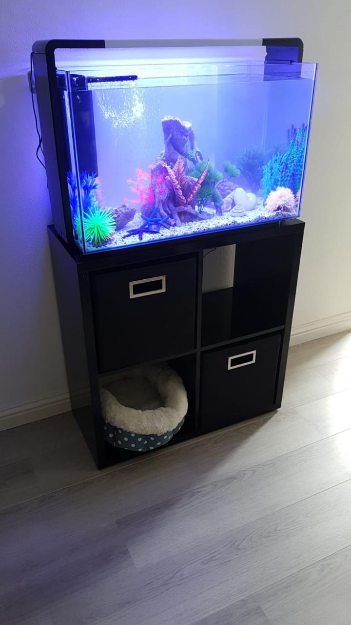 Superfish Home 110 Aquarium Black Inclusief Alle Toebehoren Te Koop