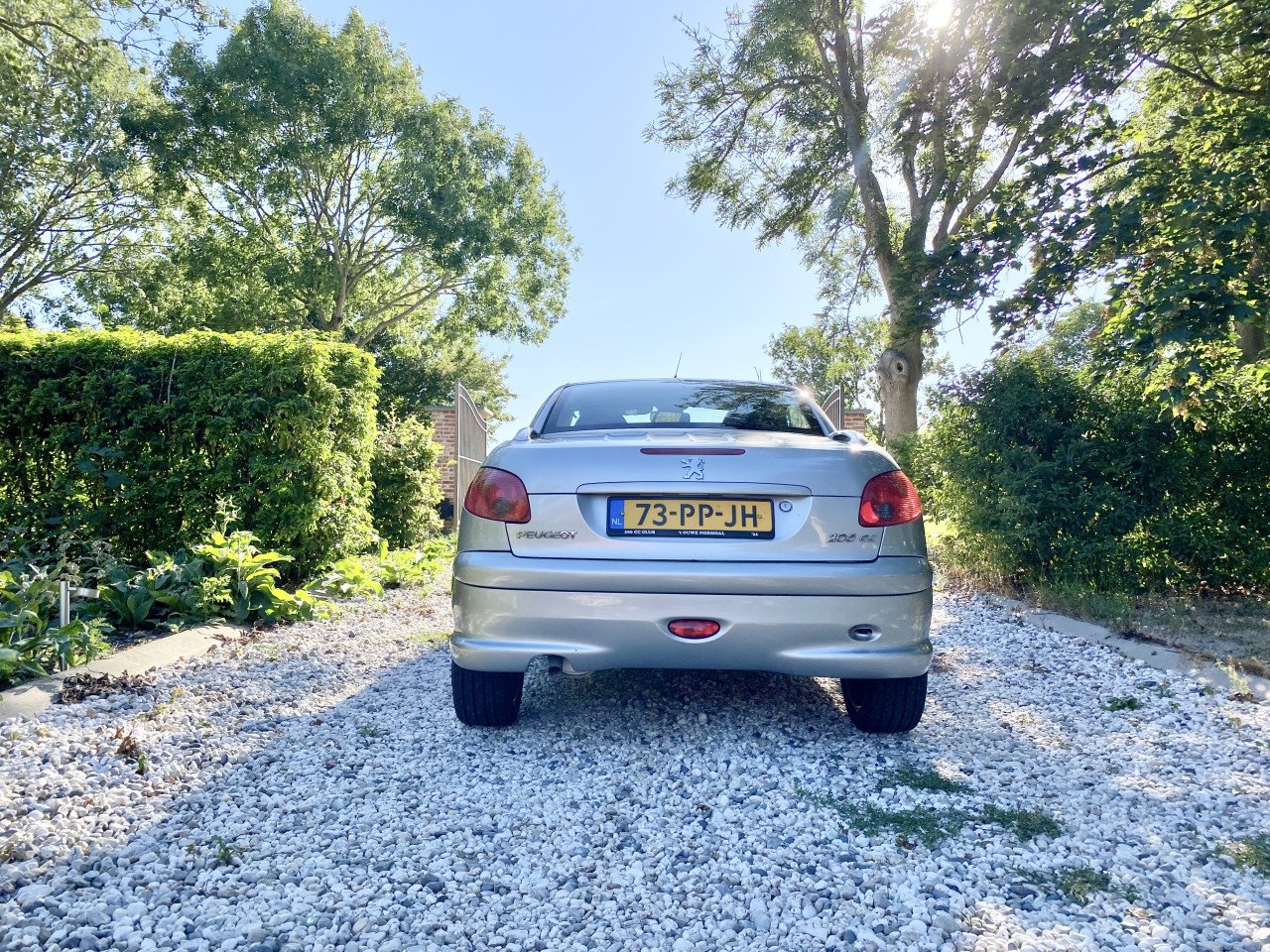 Leuke Peugeot 206 cc Roland G. | NW APK