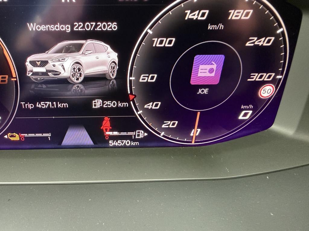 Cupra Formentor 1.4 e-hybrid 245pk vz | pano dak