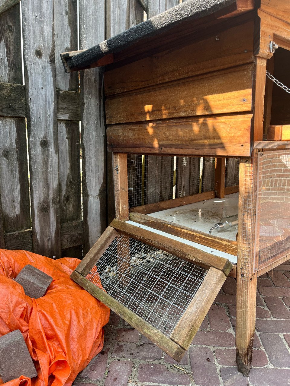Groot compleet  konijnenhok