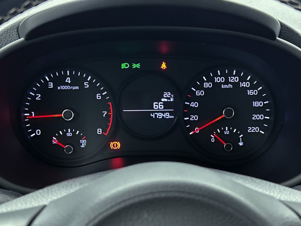 Kia Picanto 1.0 mpi dynamicplusline | 1e eigenaar |