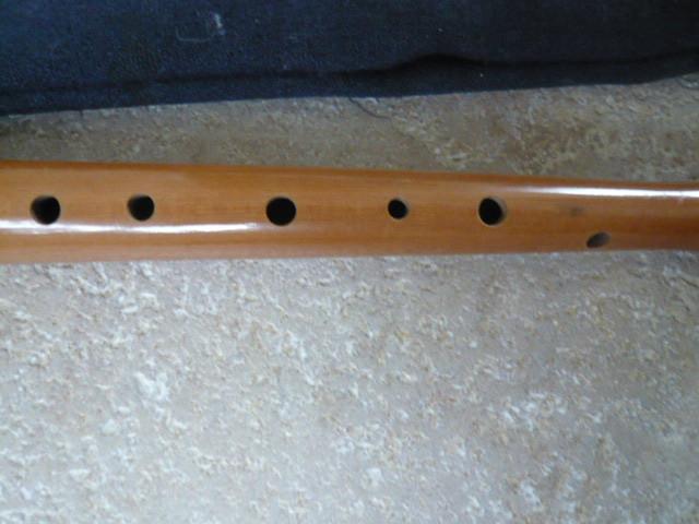 2 Z.G.A.N. BLOKFLUITEN AURA EN ZAMIR MET HOES