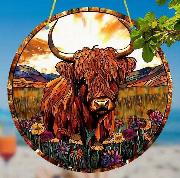 Raamhanger hooglander  ( extra kleurrijk )