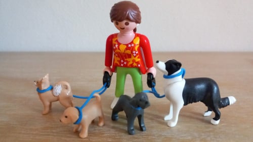 Playmobil hondenuitlaatservice setnr 5380