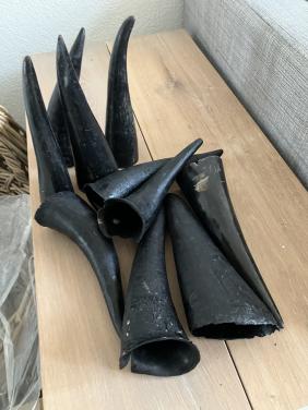 Cow Horn Indonesisch natuurlijk matriaal