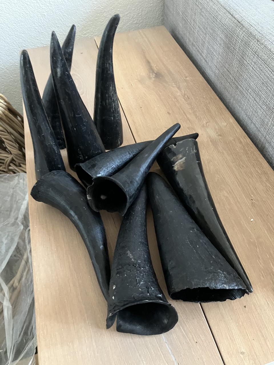 Cow Horn Indonesisch natuurlijk matriaal