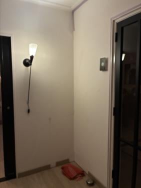 2 hanglampen in goede staat