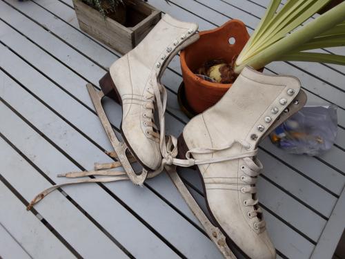 Kunstschaatsen  mt 41