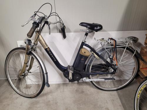 Elektrische fiets