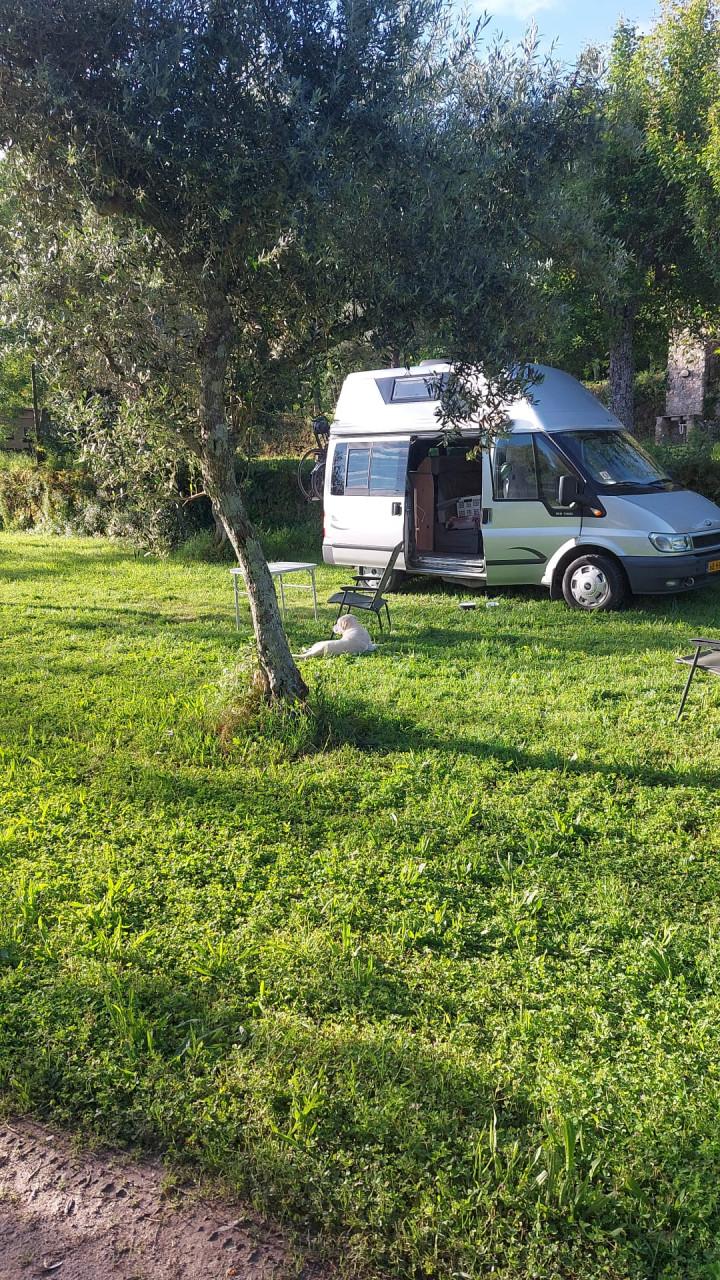 Ford Nugget Westfalia