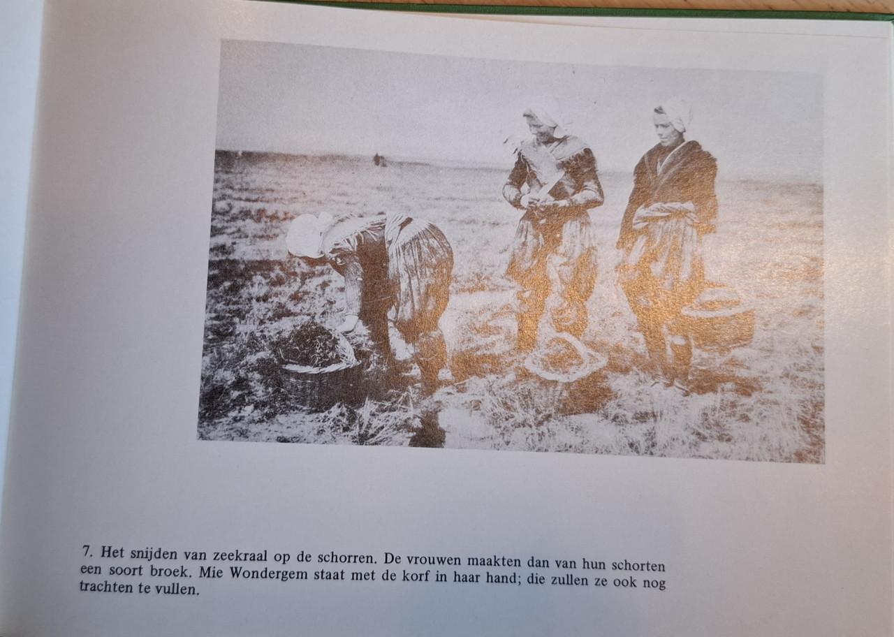 Arnemuiden in oude ansichten, deel 2, door G. de Nooijer.