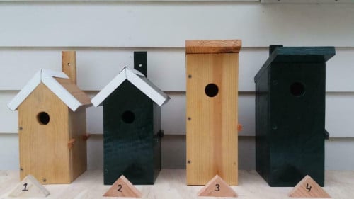 Prachtige nieuwe vogelhuisjes! Vogelhuis groen, hout, nieuw!