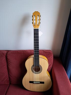 Gitaar (gebroken snaar)