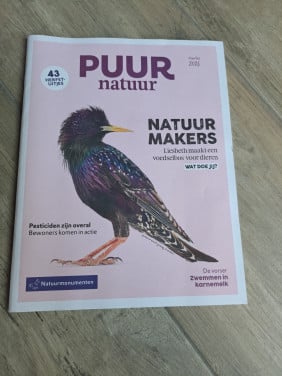 1x Puur
