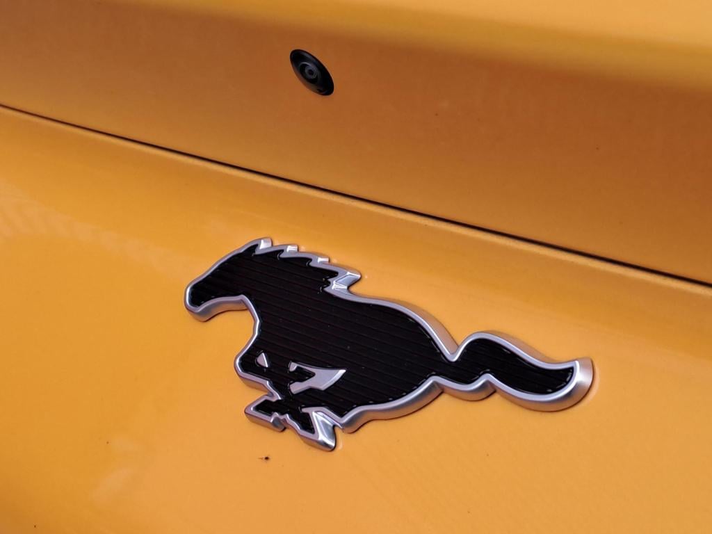 Ford Mustang Mach-e extended rwd 98 kwh | apple carplay & android auto | 36