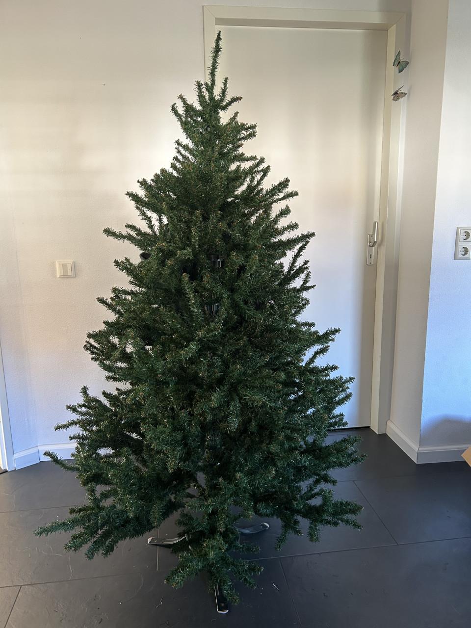 Kerstboom Triumph tree