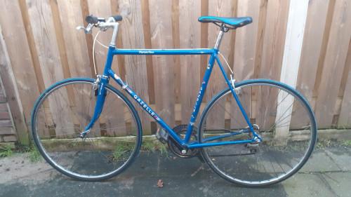 4 x Racefiets GIANT & GAZELLE -XXL & EDDIE-MERKX