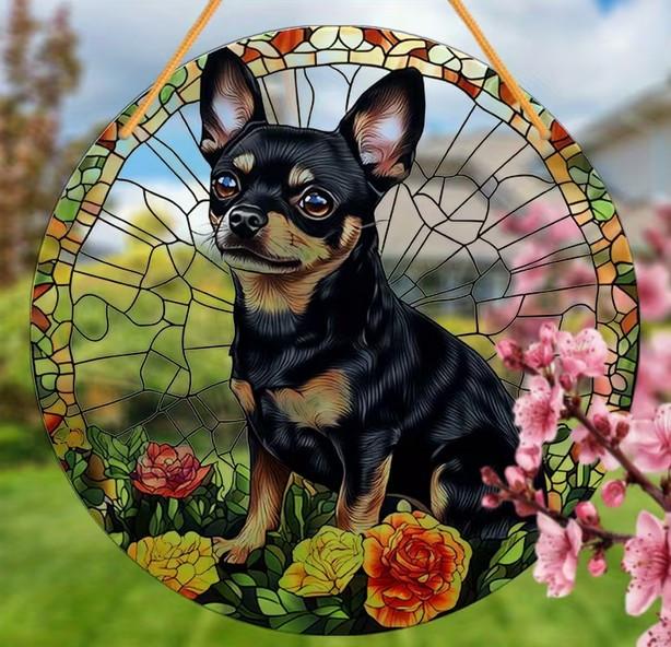 Raamhanger Chihauhau ( chiwawa )