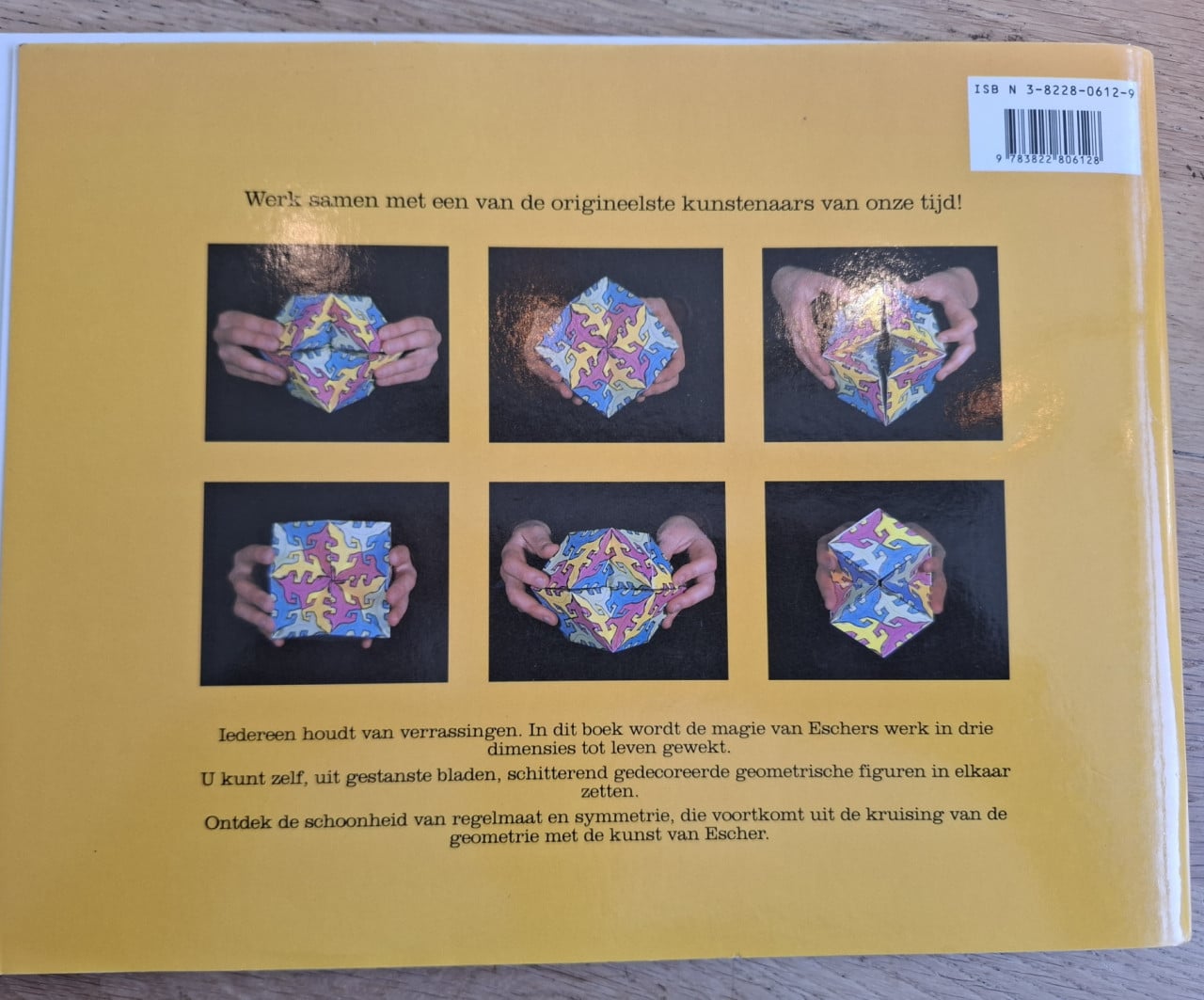 M.C. Escher Caleidocycli, door Doris Schattschneider, plus 12 werkbladen