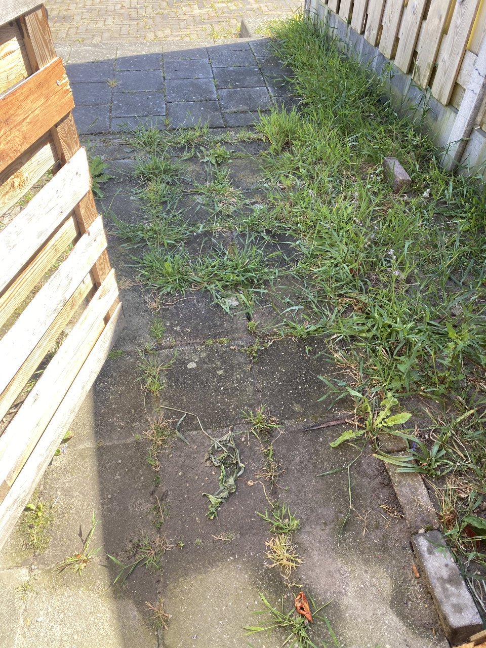 Tuinonderhoud