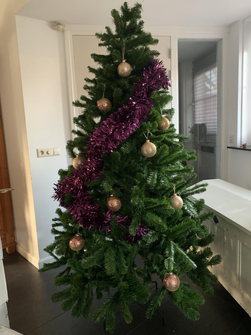 Kerstboom. 2.10 hoog