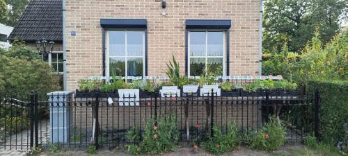 Vaste planten, groente planten, bijen,- en vlinderplanten: €1,25 p/st.