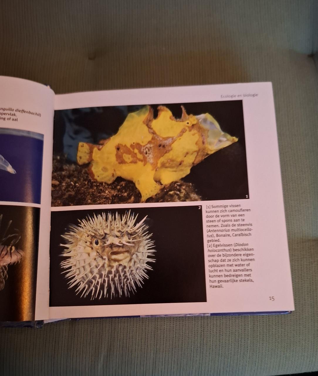 Vissen en walvissen, 1001, foto's, red. Pascal Deynat, blokboek