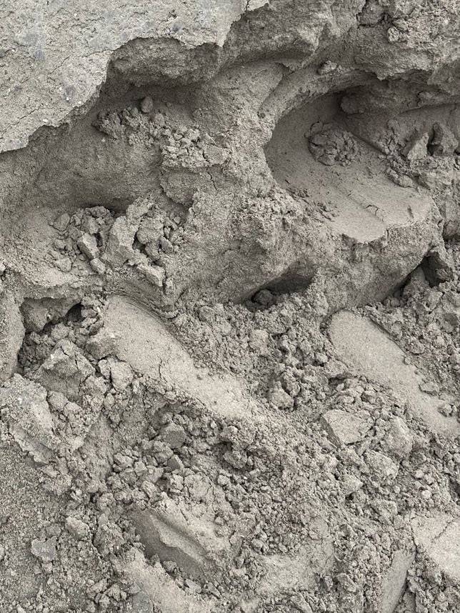 Ophoog zand