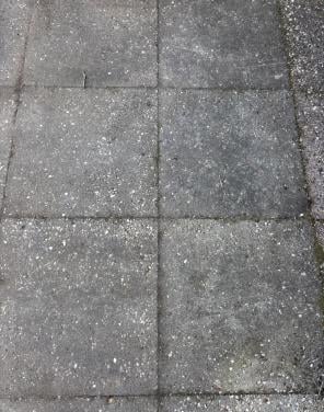 Gratis betontegels 50x50