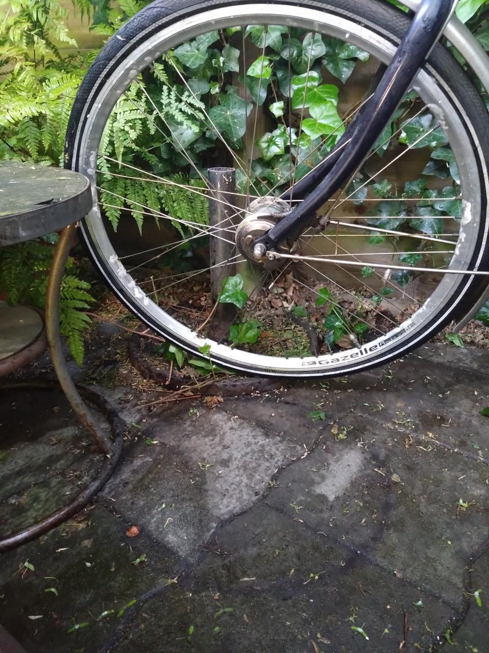 Gazelle damesfiets fiets