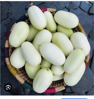Dragons egg